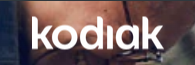 Kodiak wholesale logo